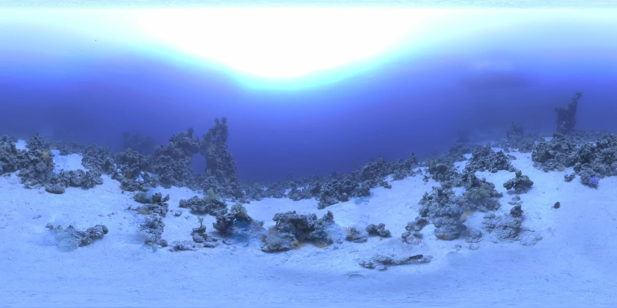 海洋环境水下世界-16