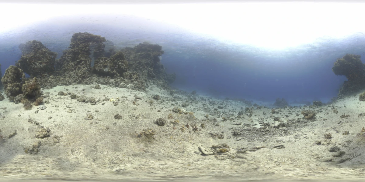 海洋环境水下世界-24