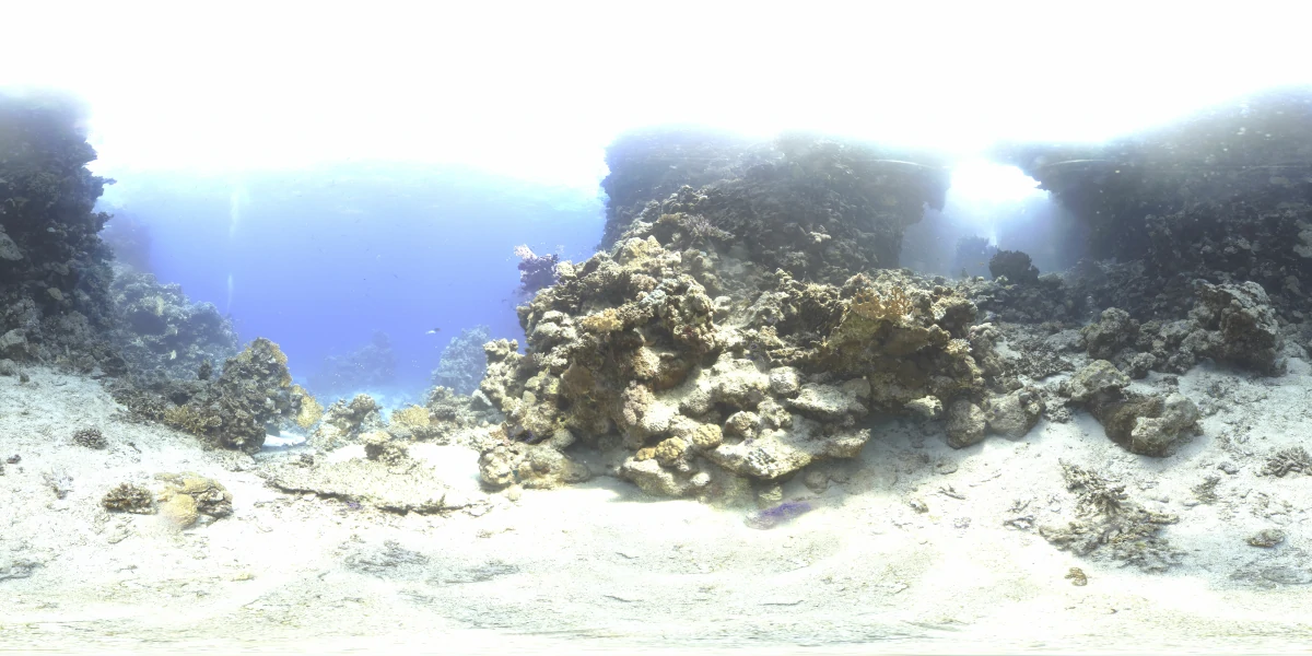 海洋环境水下世界-26