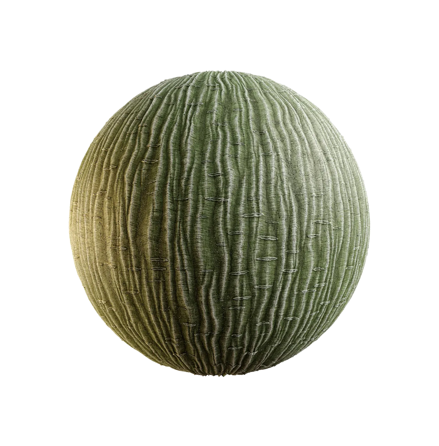 满洲枫树皮25060815