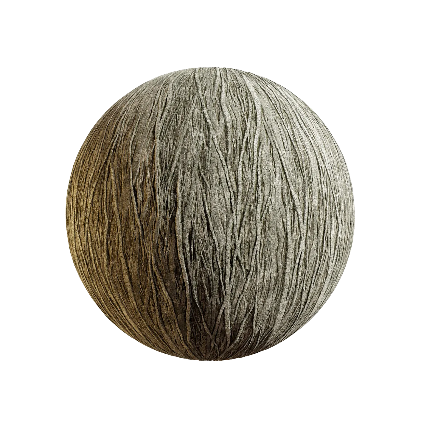 火焰木树皮25060811