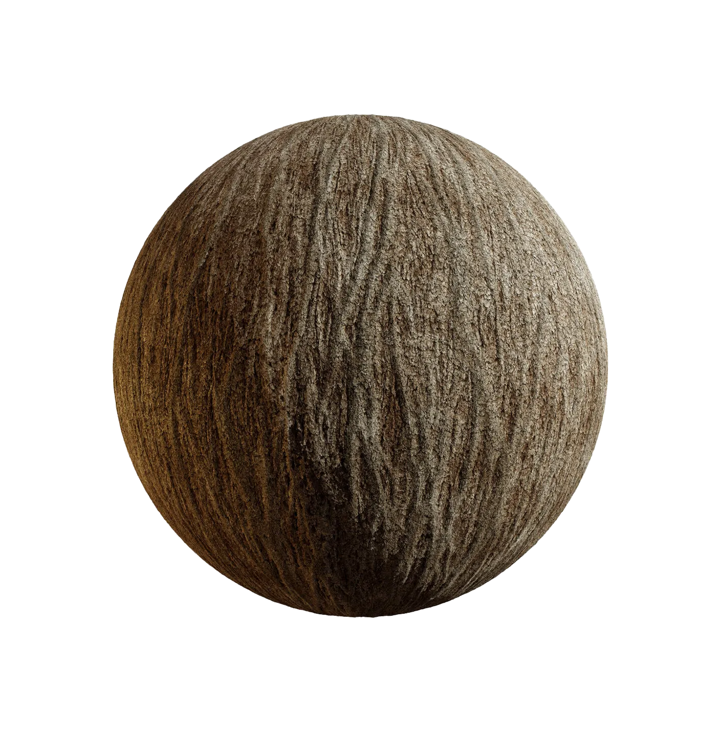 火焰木树皮25060812