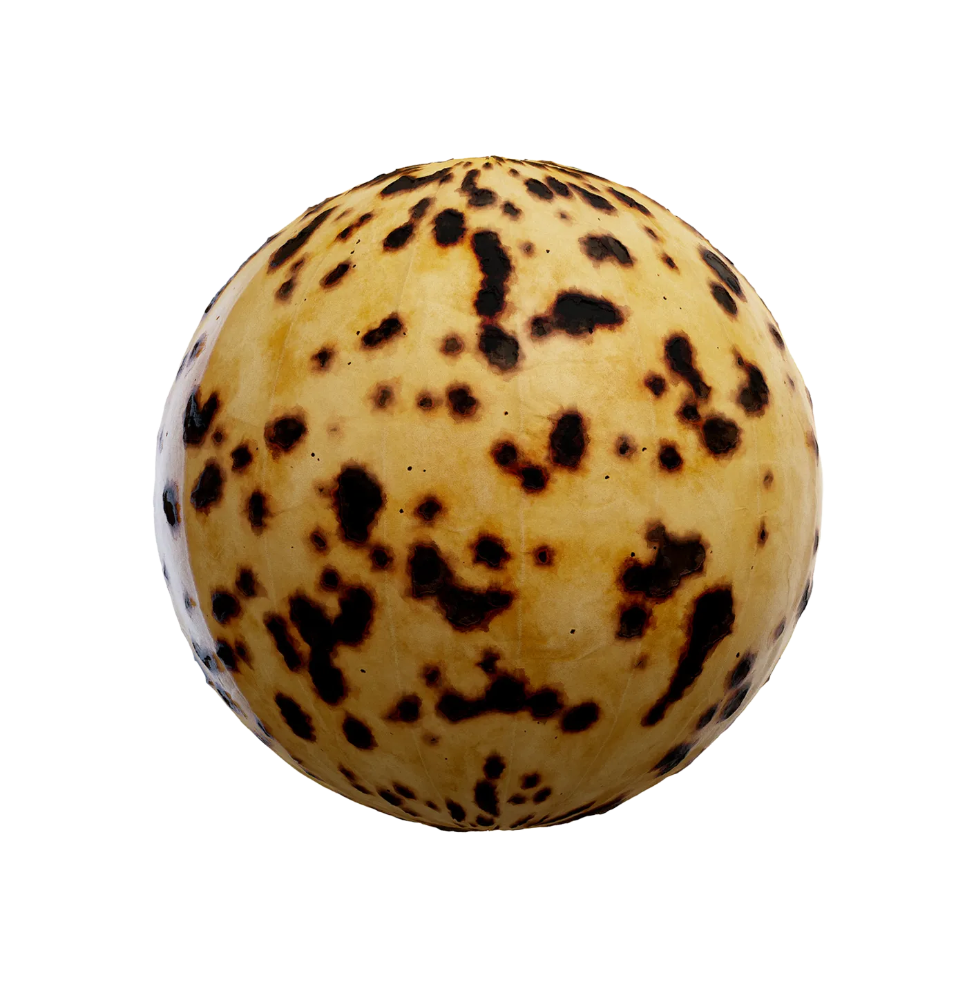 烧焦的旧纸2506101982