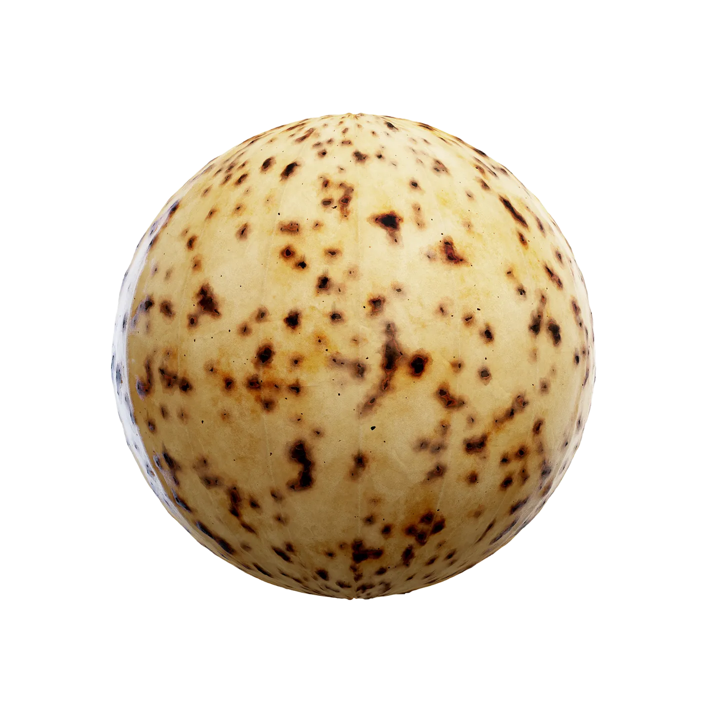 烧焦的旧纸2506101983