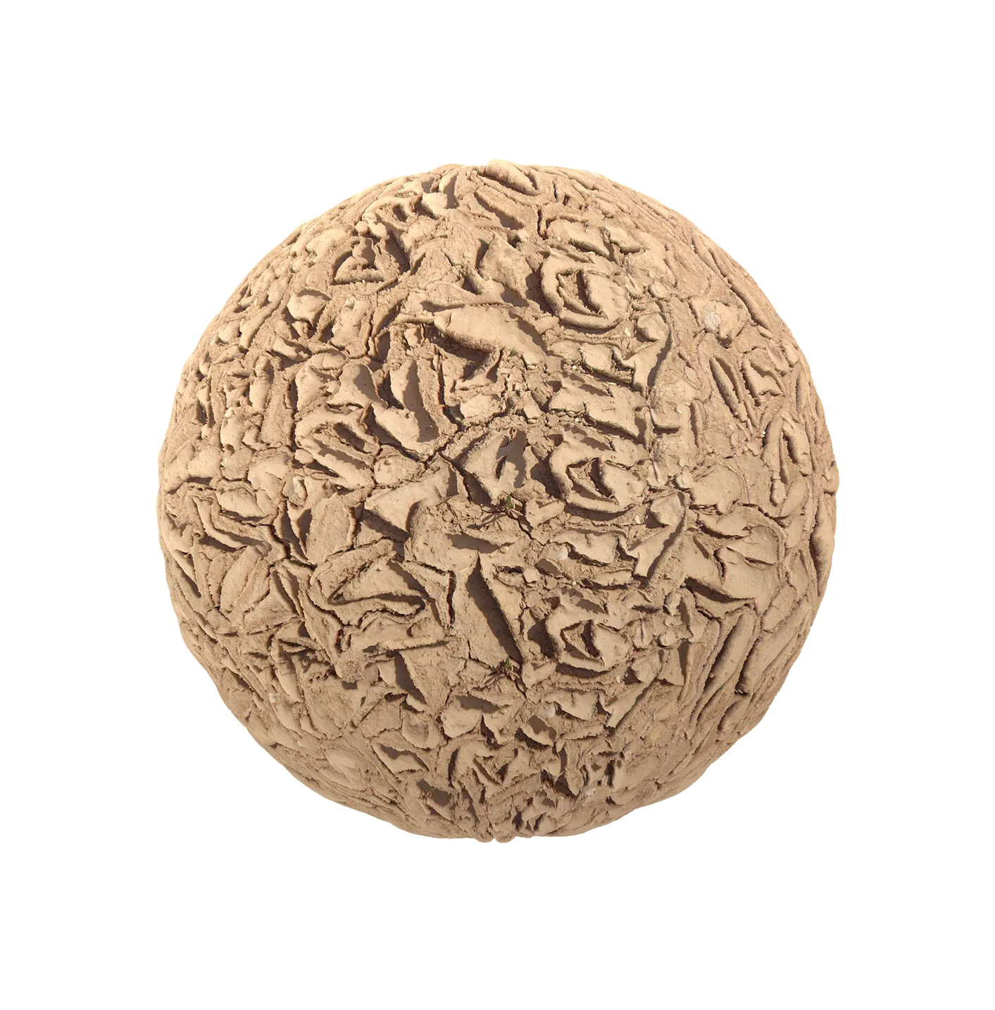 片状干泥2506101482