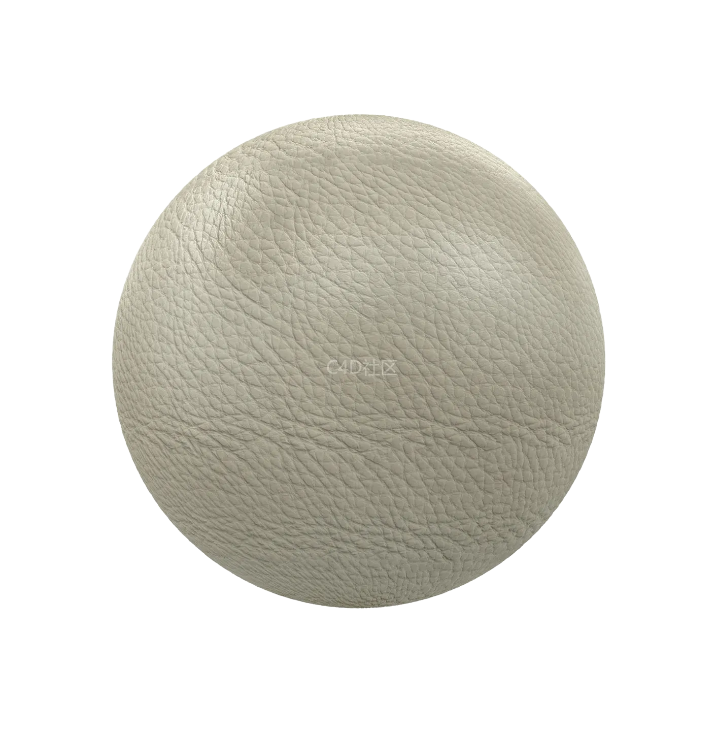 白色皮革250610520