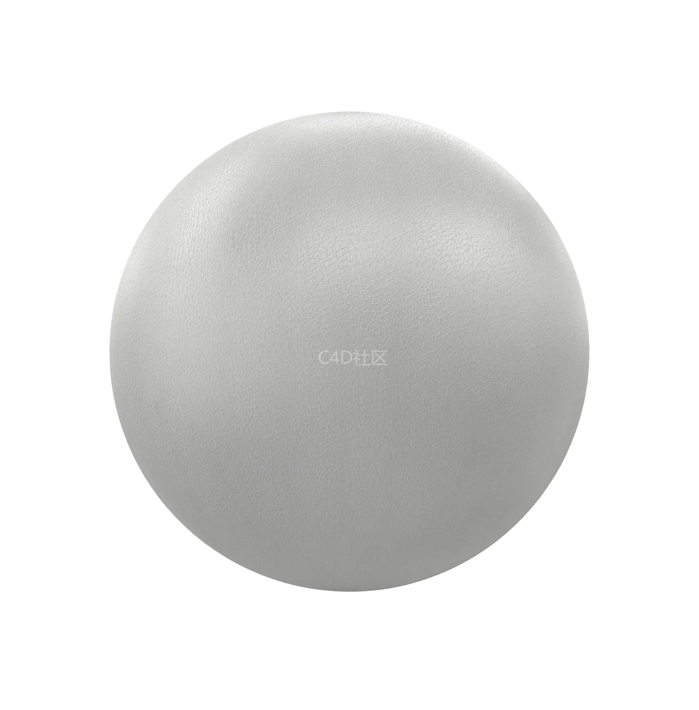 白色皮革250610523