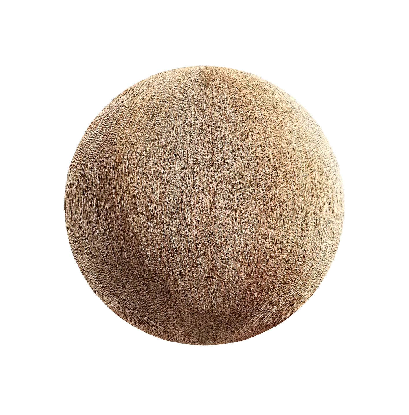 稻草屋顶2506101655