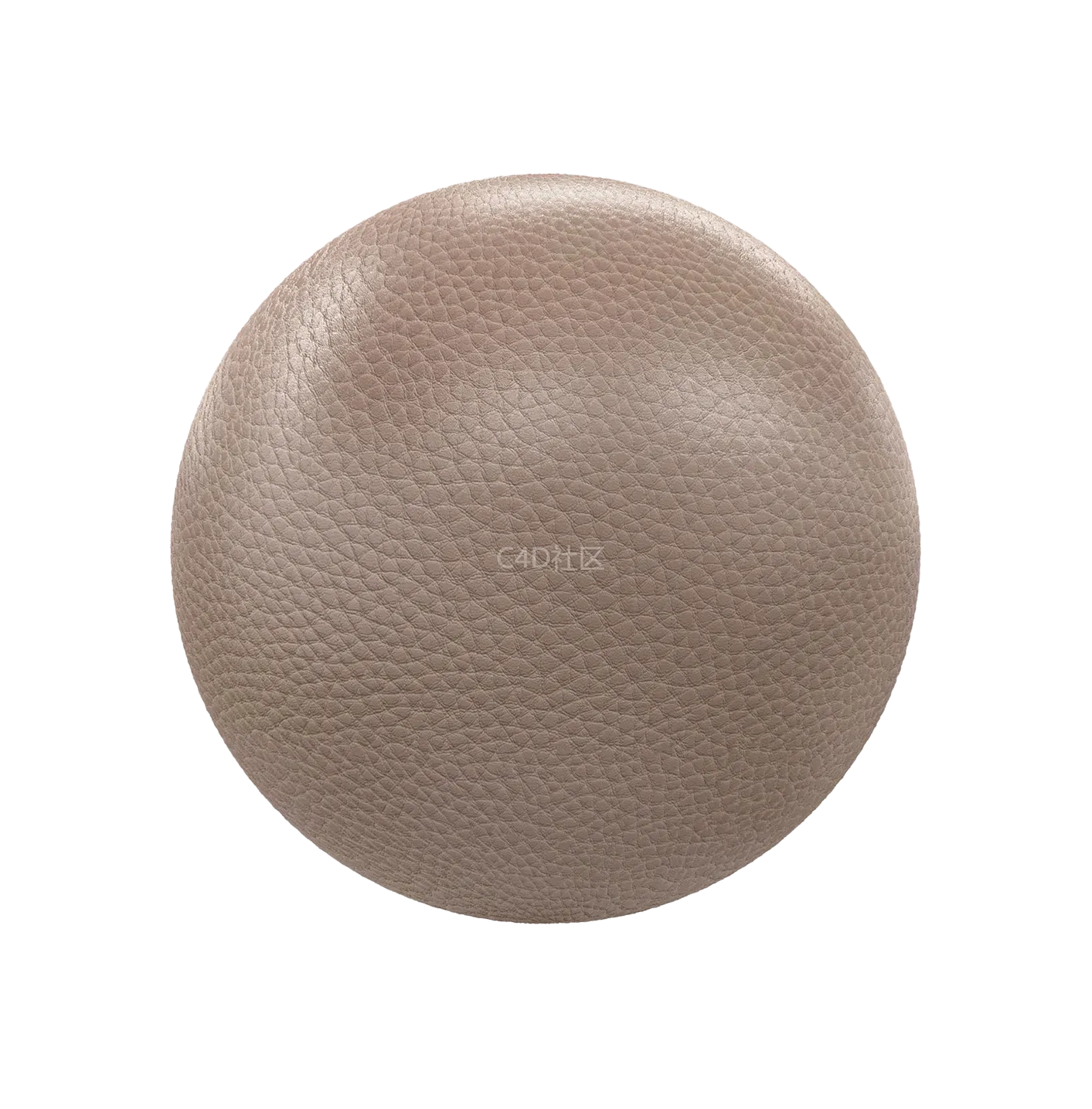 米色皮革250610588