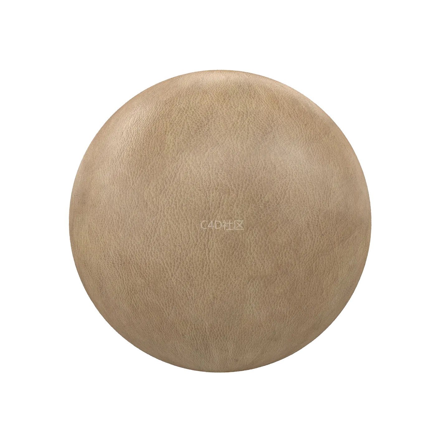 米色皮革250610590