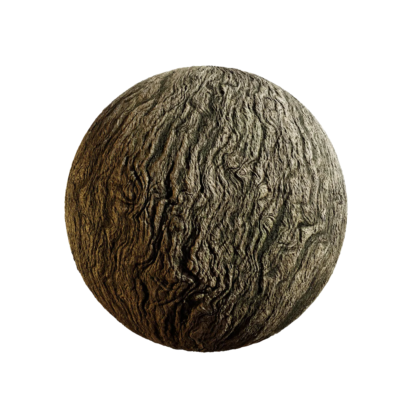 紫藤树皮25060879