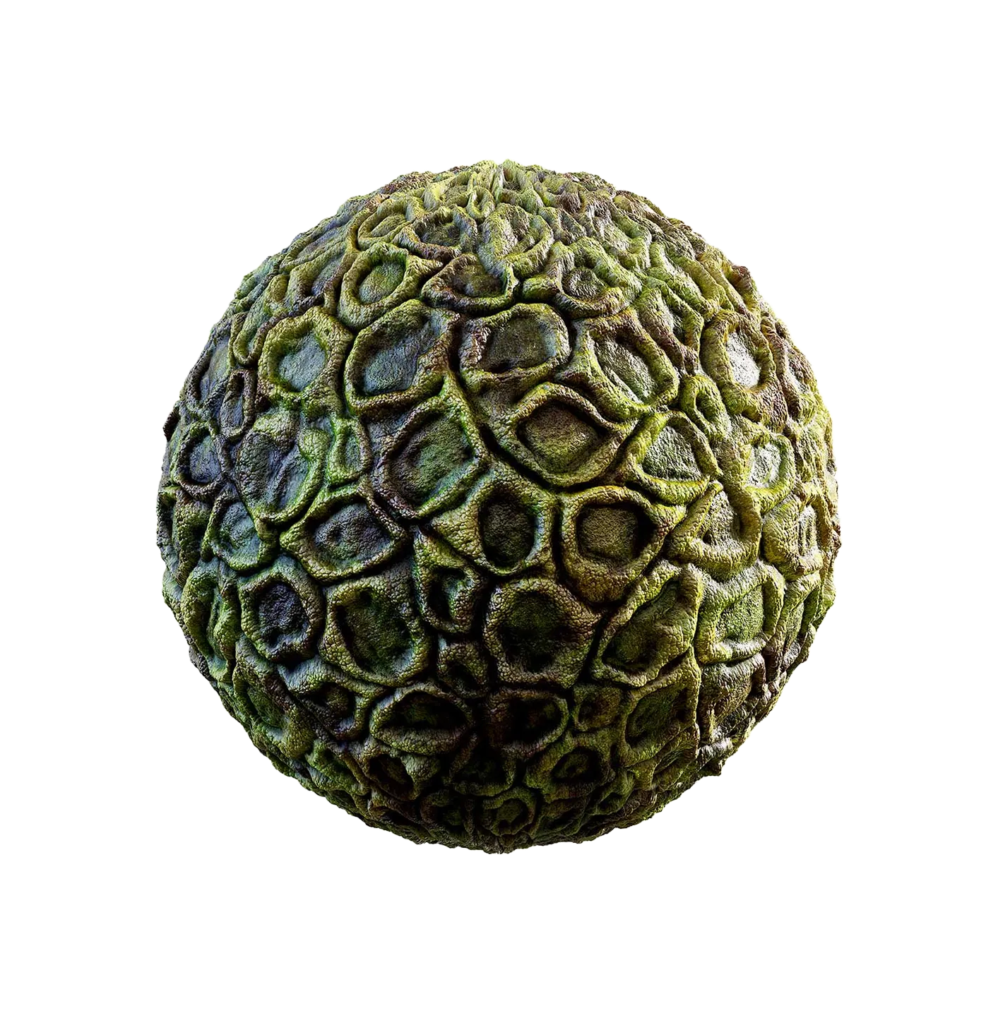 绿色生物皮肤2506101119