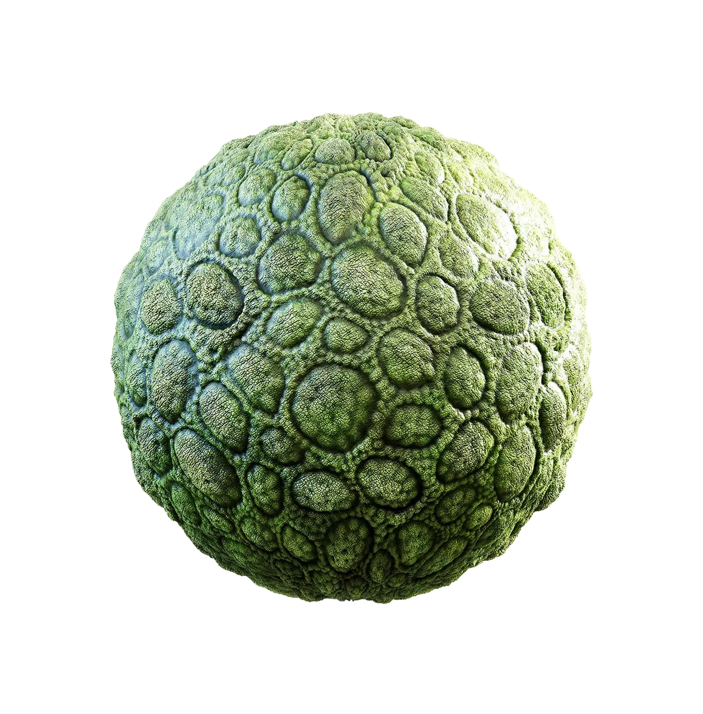 绿色生物皮肤2506101120