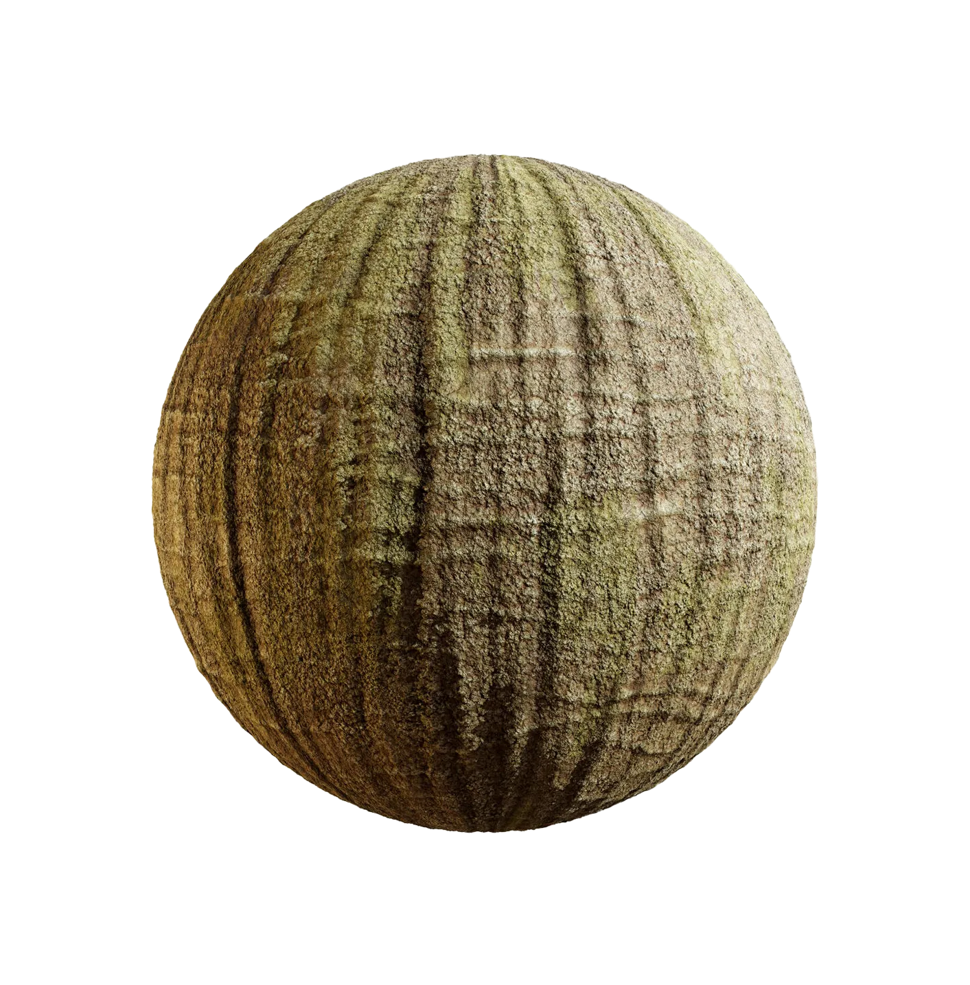 菠萝蜜树皮25060881