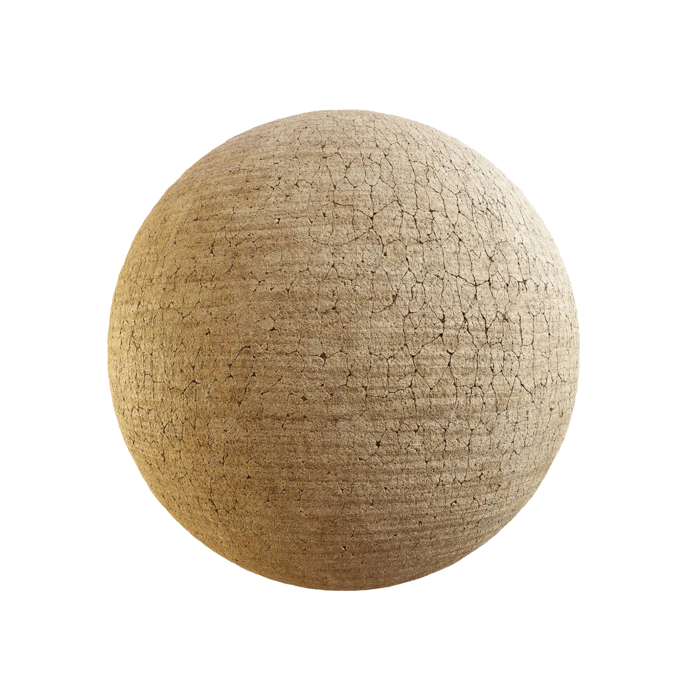 菩提树皮25060821