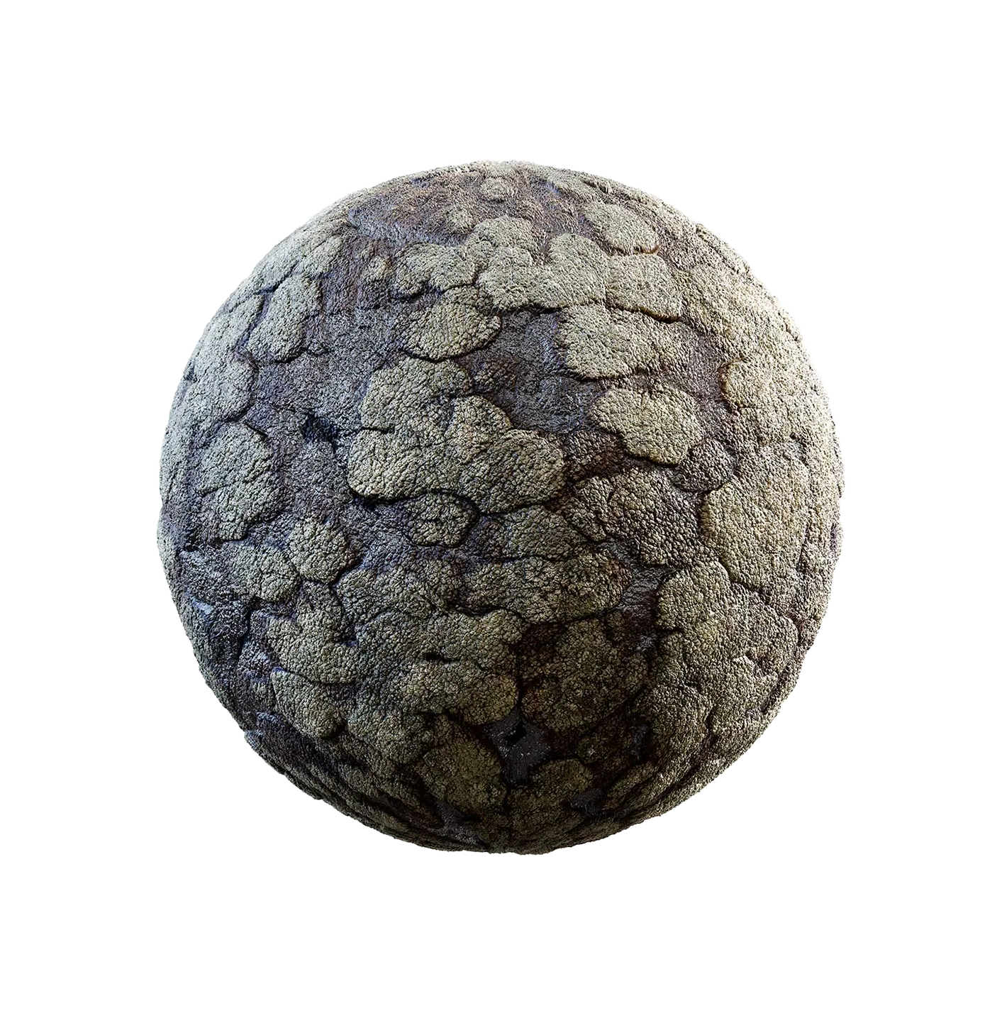 裂纹绿色生物皮肤2506101106