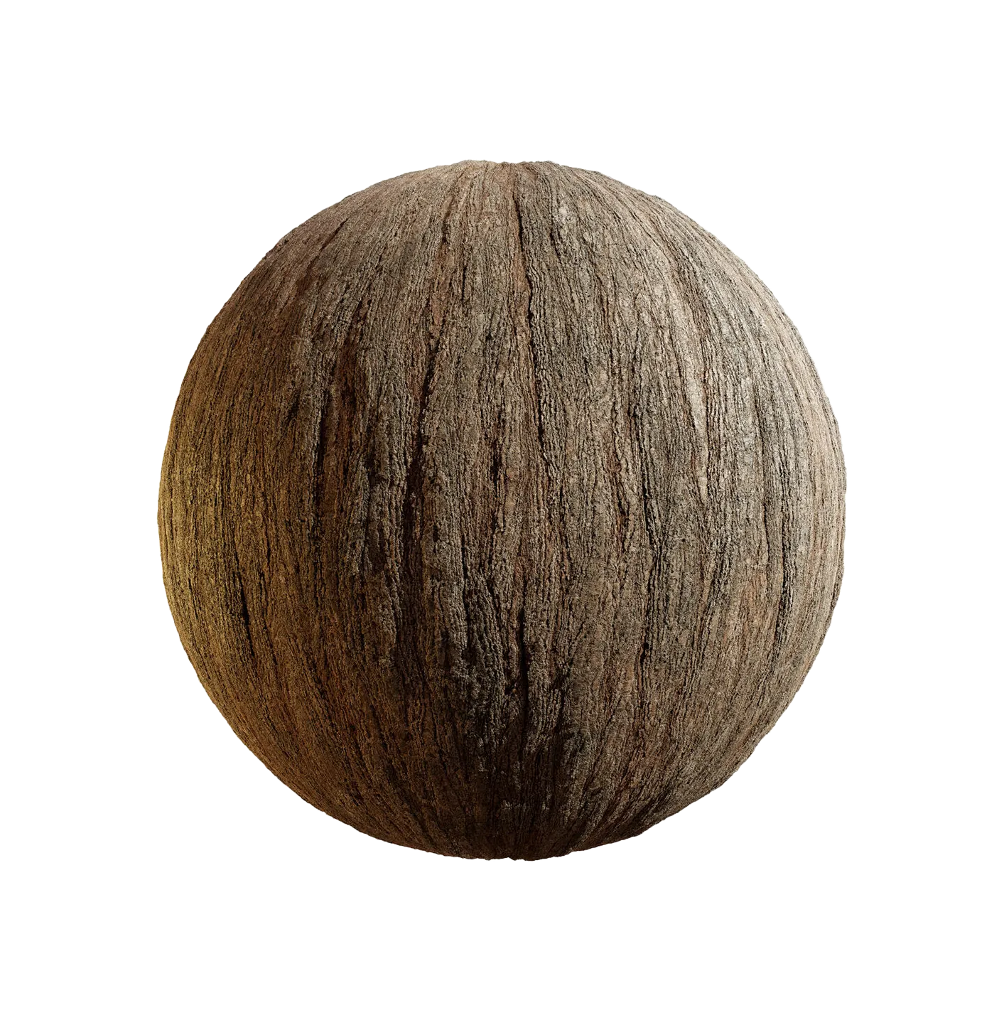 银杏树皮25060861