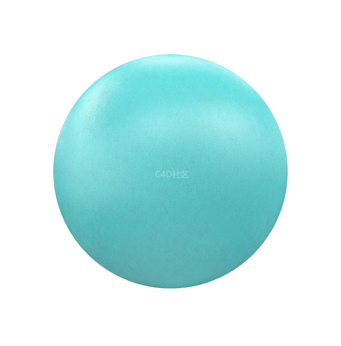 青色皮革250610591