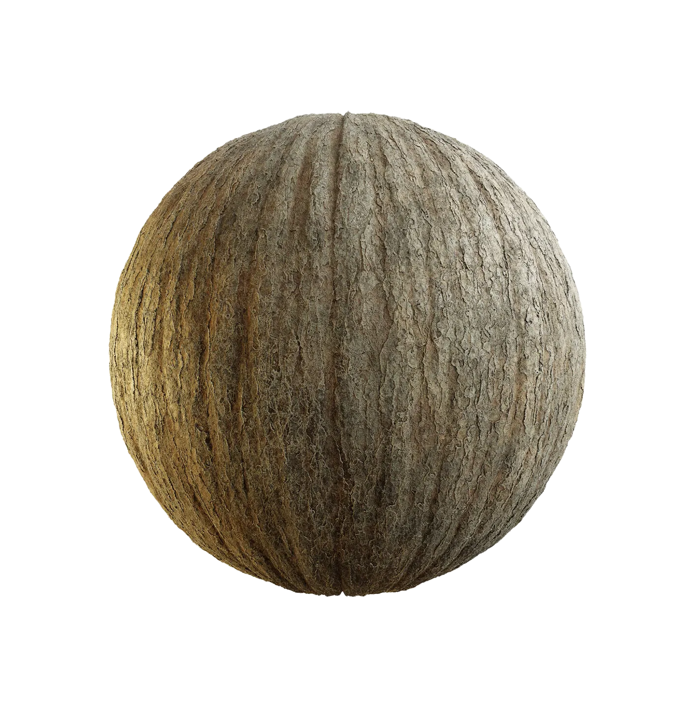 韩国云杉树皮25060809