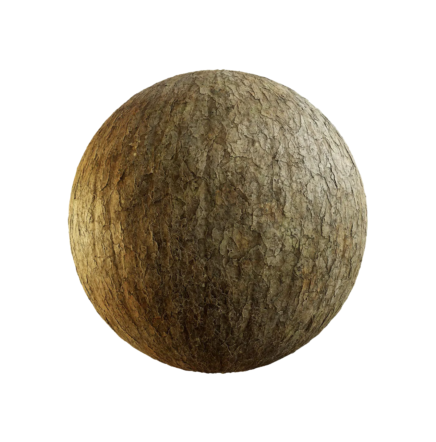 韩国云杉树皮25060810