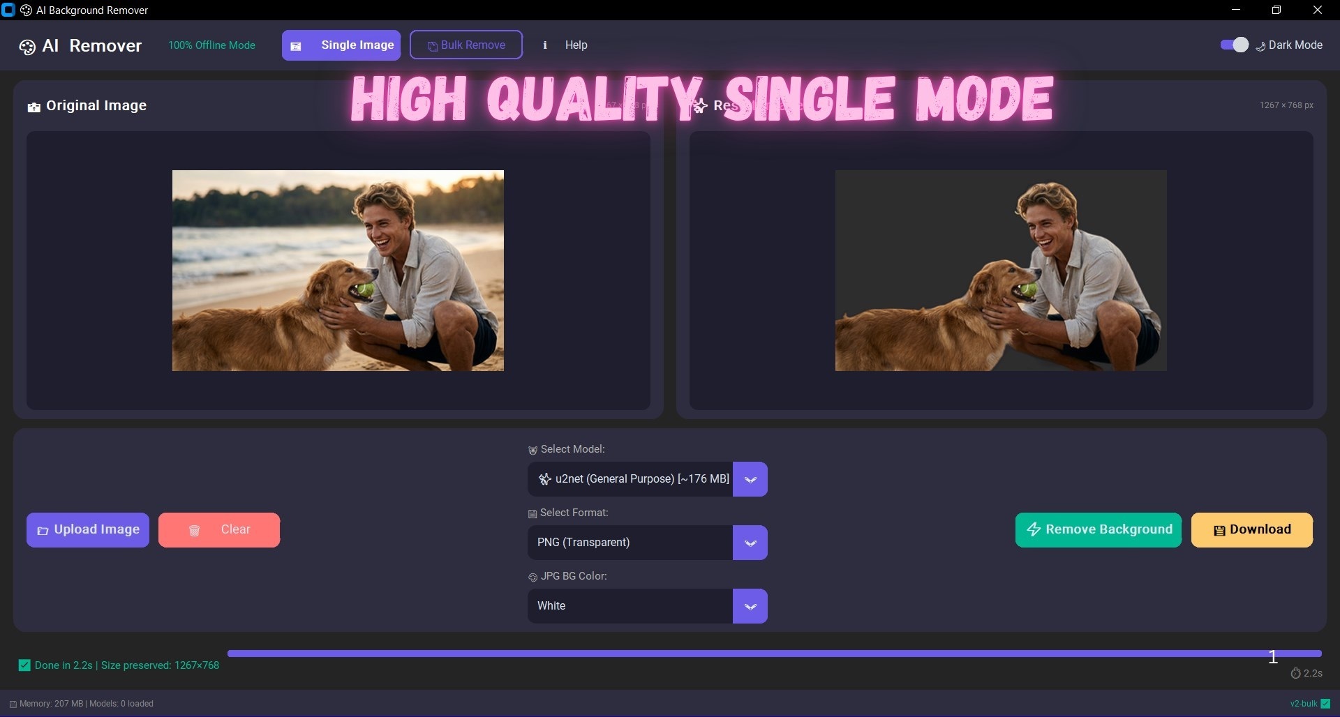 AI Background Remover Studio 2.0.0 离线批量抠图软件
