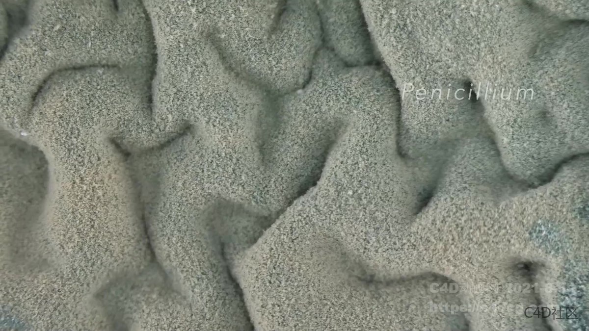 霉菌蔓延生长动画-微观世界