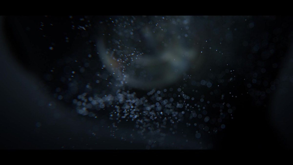 NOKIA 全景摄像机 -OZO