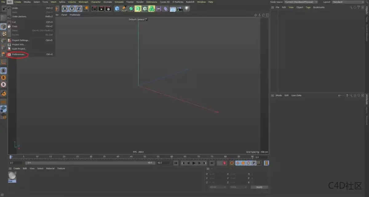 Cycles 4D Preferences
