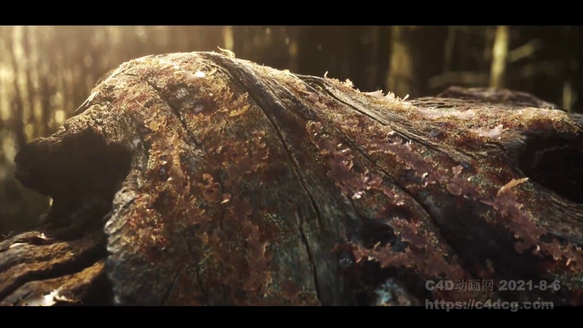 优秀的腐蚀动画