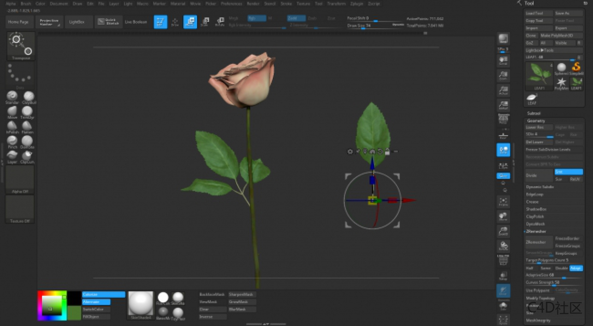在ZBRUSH中与LIZ KIRBY建立高多边形植物 (2)
