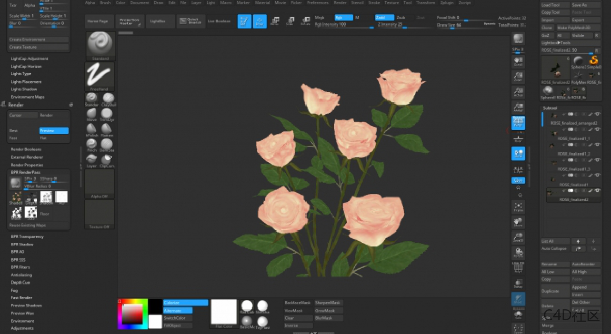 在ZBRUSH中与LIZ KIRBY建立高多边形植物