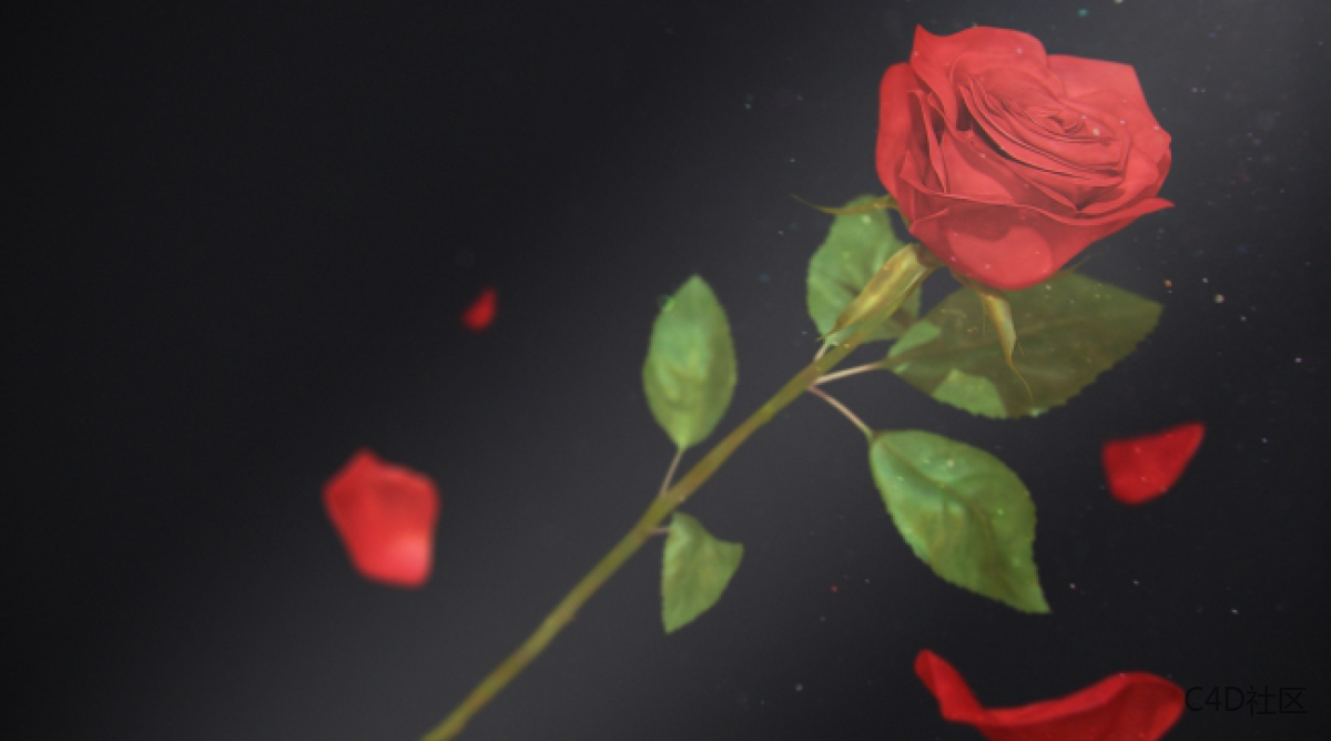 在ZBRUSH中与LIZ KIRBY建立高多边形植物