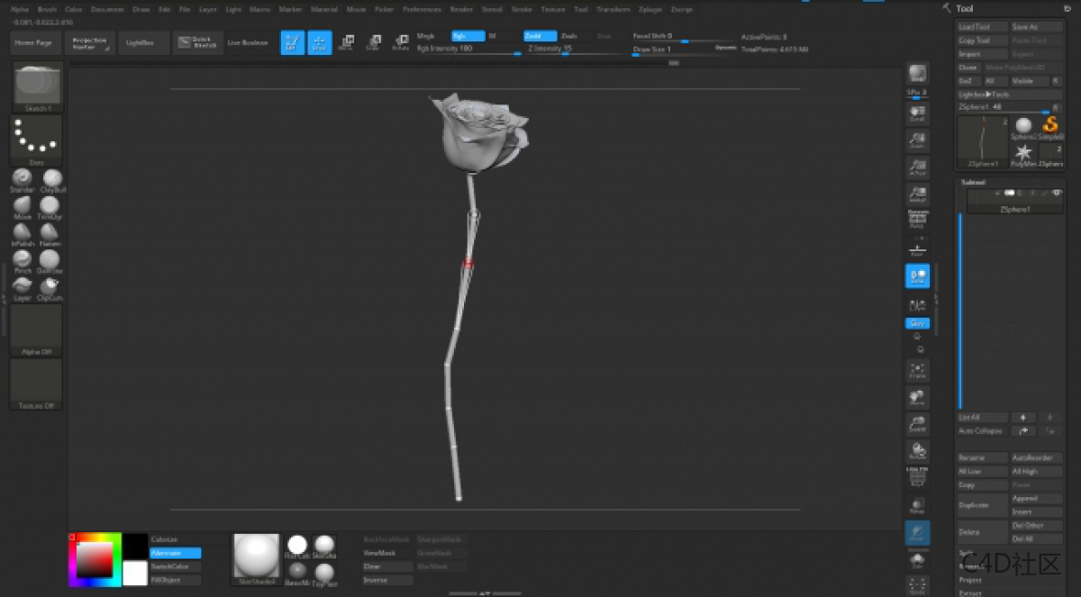 在ZBRUSH中与LIZ KIRBY建立高多边形植物 (2)