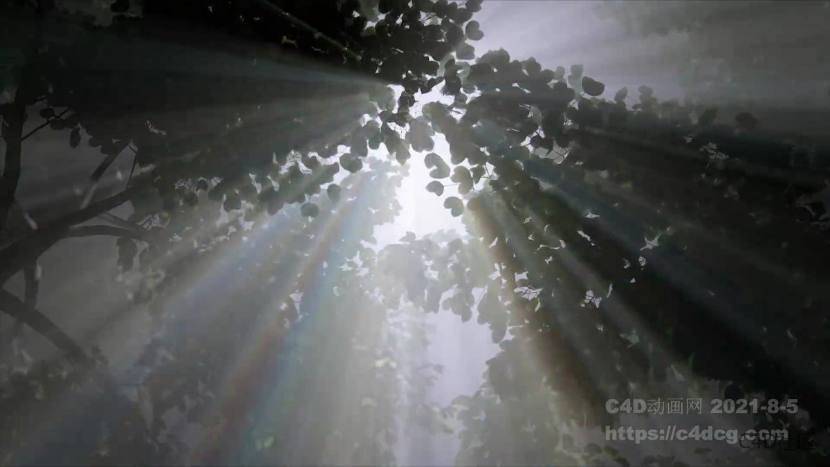 Lux Illuminazione 品牌宣传视频-光的艺术