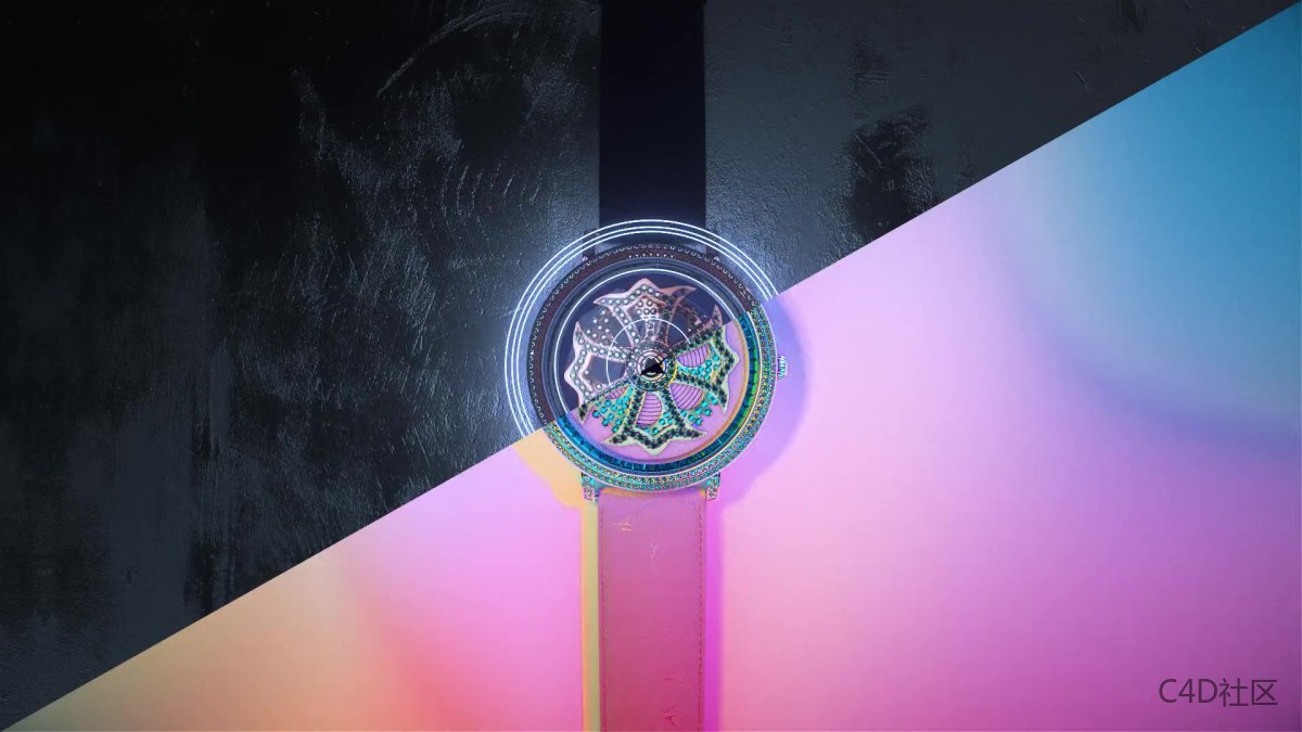 Anne Coquine Brand 女士钻石手表动画