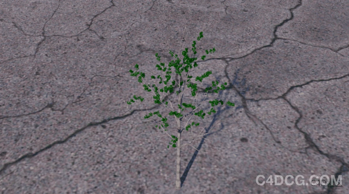 Forester v1.57 for Cinema 4D R18-2025 植物插件