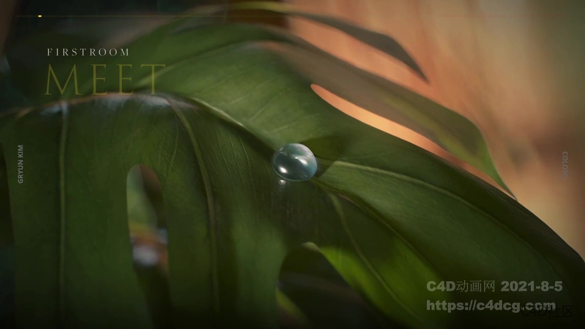 Kimgryun在科罗拉多的C4D讲座预热短片-木材渲染