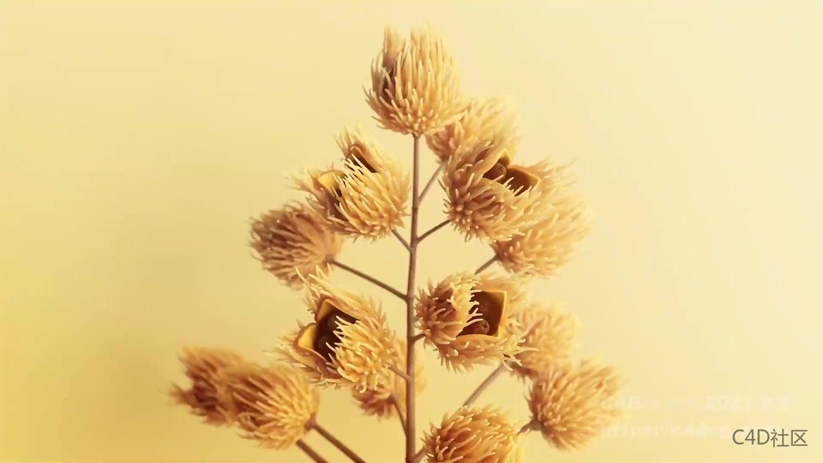 潘婷护发素套装宣传视频