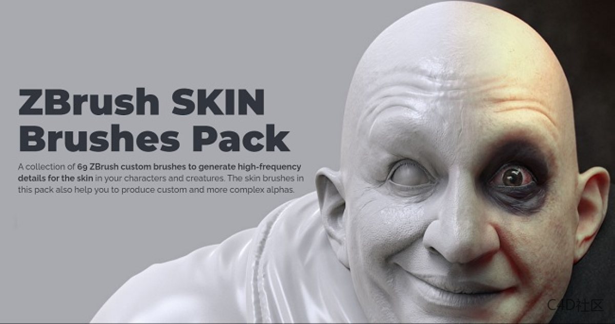 真实三维人物角色皮肤笔刷雕刻预设ZBrush SKIN Brushes Pack (human)