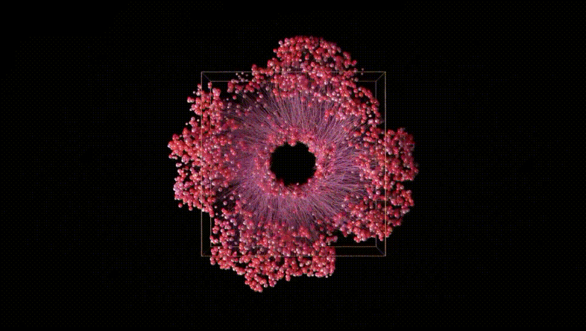 尼古拉·博格曼的数字装置