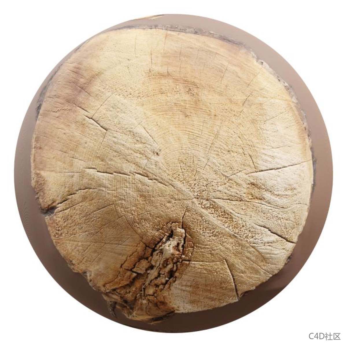 木桩表面有疤的伤痕纹理