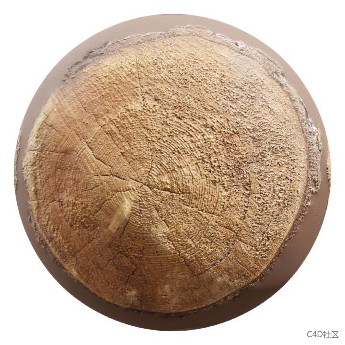 木桩表面纹理已经被锯开很多年的痕迹清晰可见