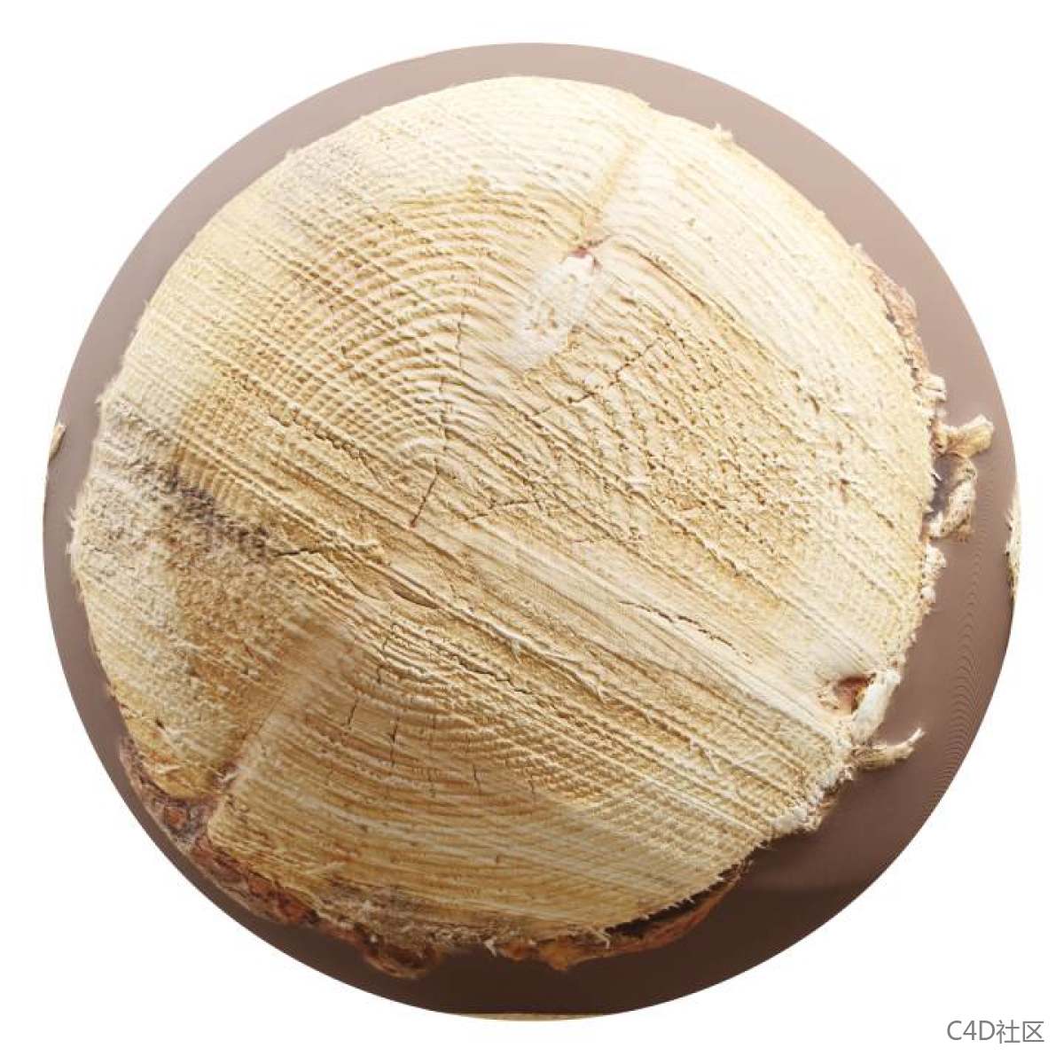 木桩表面已经出现腐蚀的痕迹