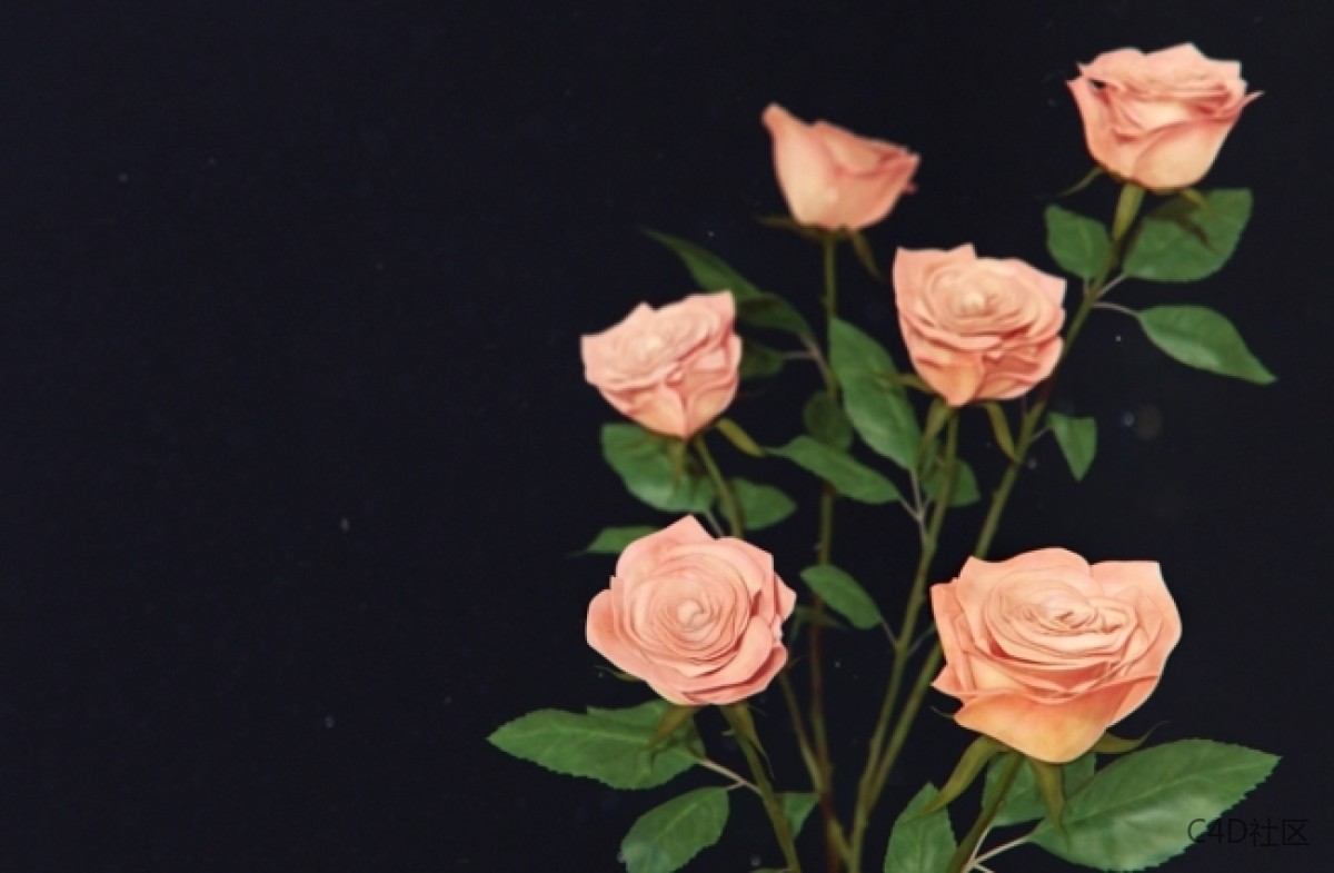 在ZBRUSH中与LIZ KIRBY建立高多边形植物 (2)