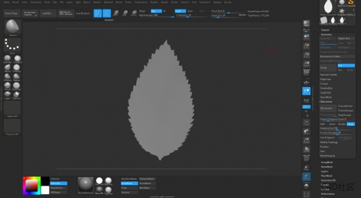 在ZBRUSH中与LIZ KIRBY建立高多边形植物