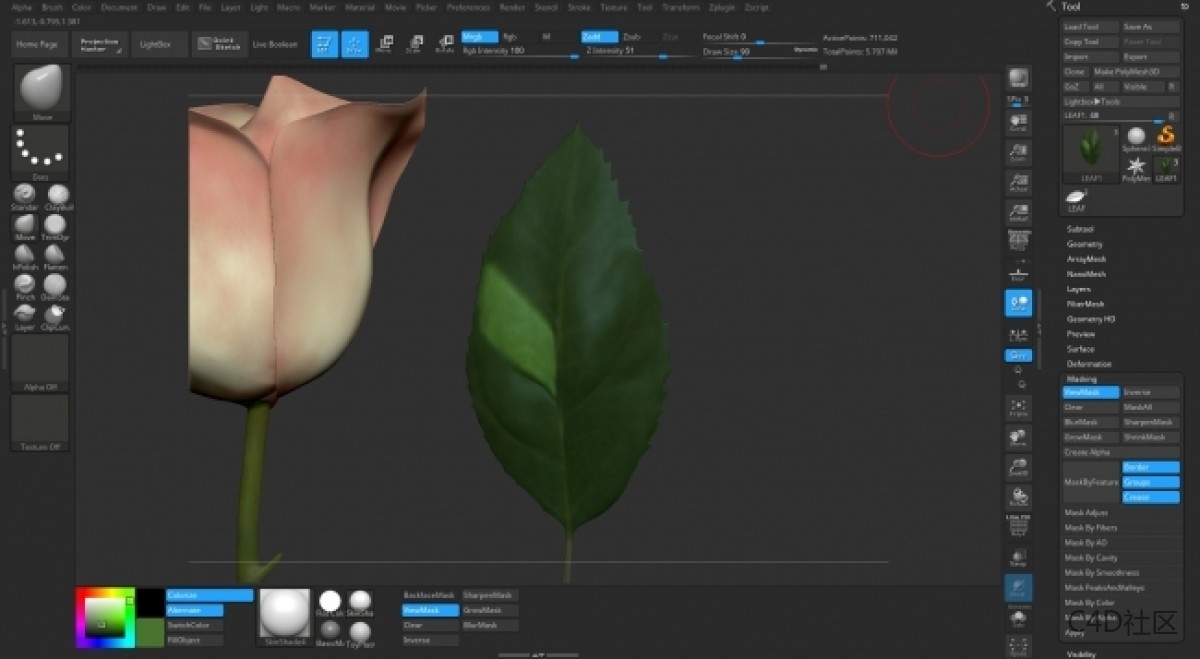 在ZBRUSH中与LIZ KIRBY建立高多边形植物
