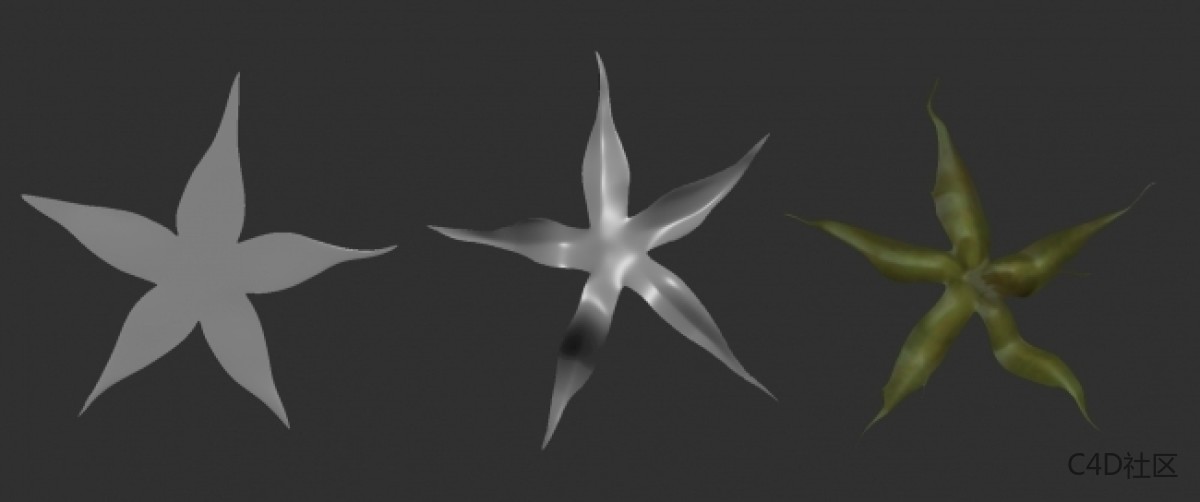 在ZBRUSH中与LIZ KIRBY建立高多边形植物