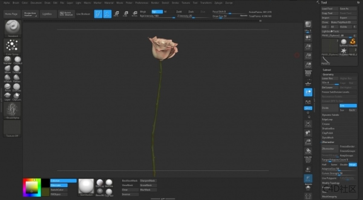 在ZBRUSH中与LIZ KIRBY建立高多边形植物 (2)