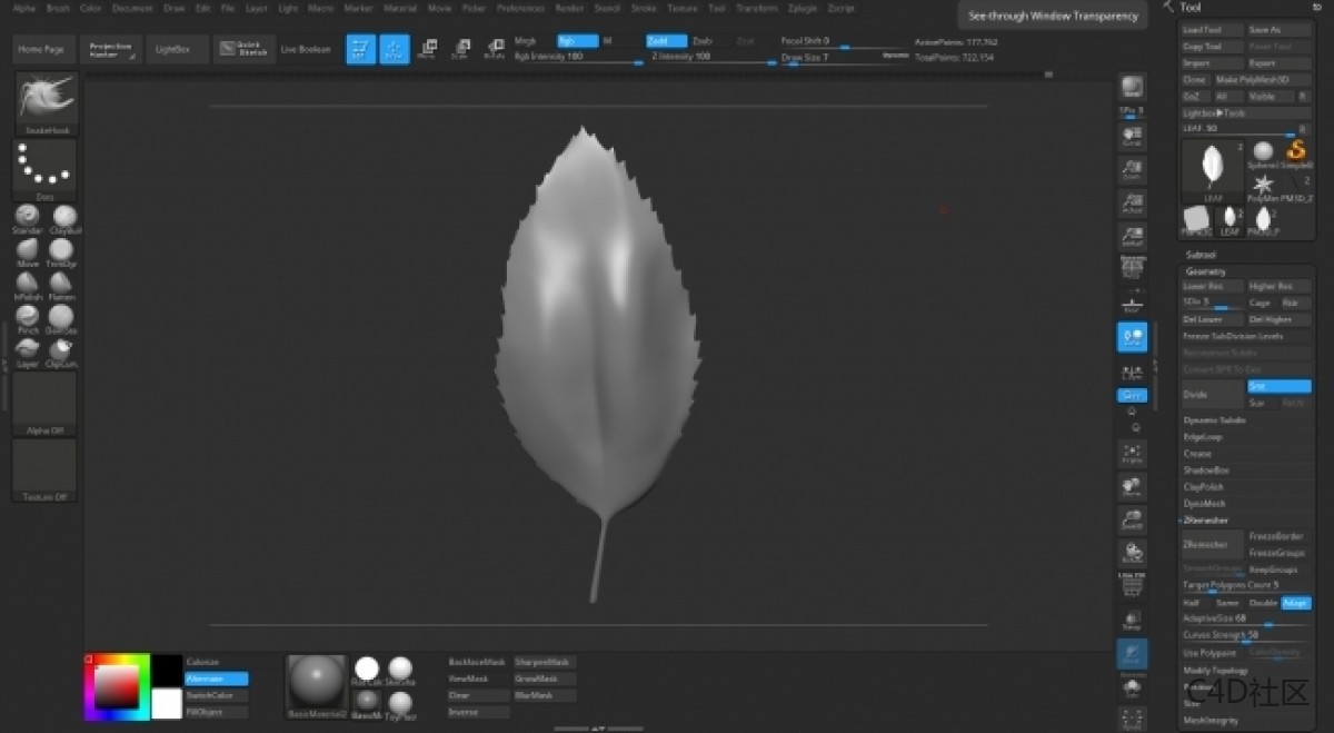 在ZBRUSH中与LIZ KIRBY建立高多边形植物 (2)
