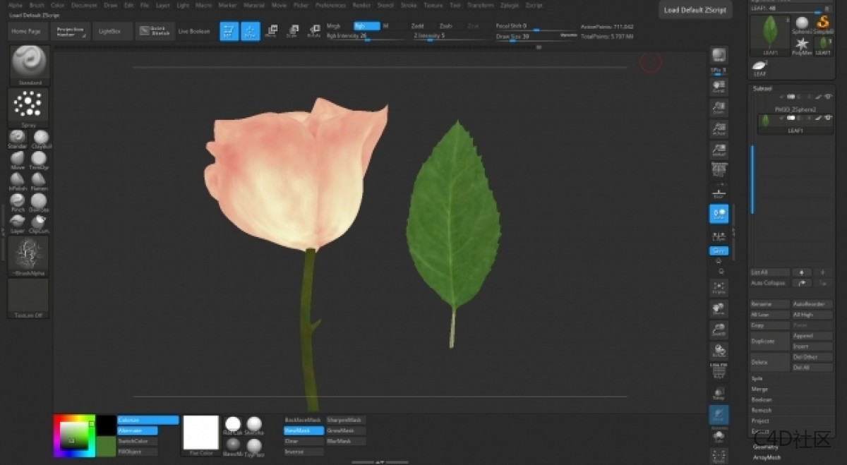 在ZBRUSH中与LIZ KIRBY建立高多边形植物 (2)